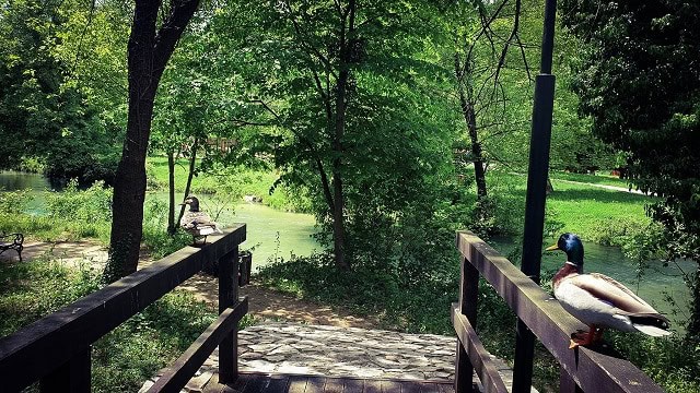 Zrak je svjež, ispunjen mirisima kiše i vlage, dok priroda lagano upija darove kiše i priprema se za novi dan.
