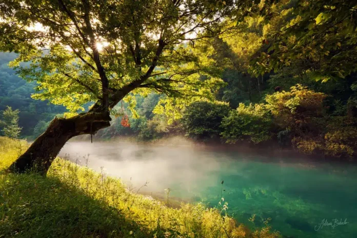 Subotnje jutro uz obale rijeke Krušnice
