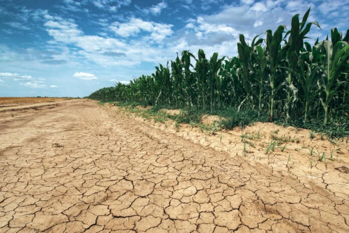 Klimatska prognoza: Suša se nastavlja do sredine avgusta