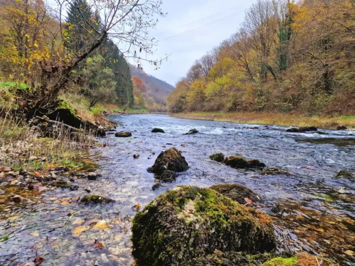 FOTO: Rijeka Krušnica u jesenjem ruhu