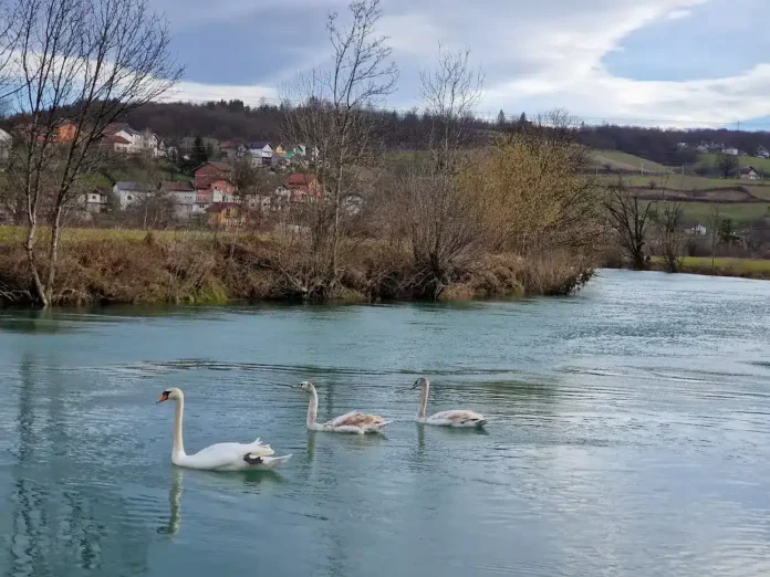 Toplo januarsko lice uz snažan jugozapadni vjetar