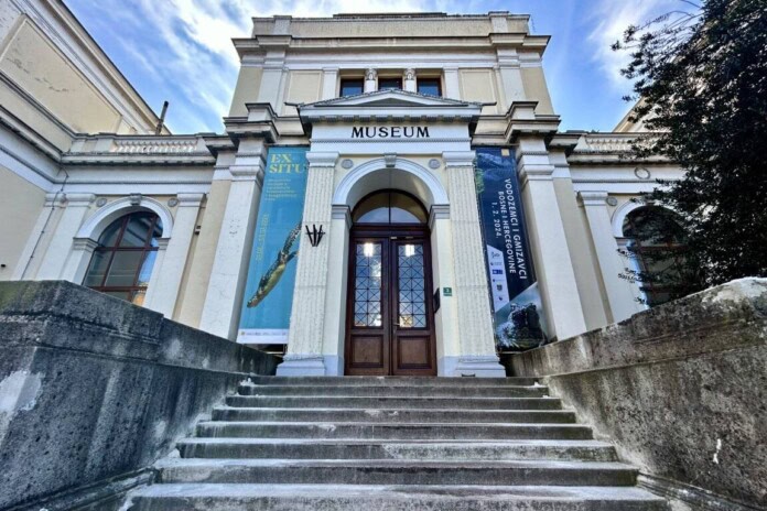 Zemaljski muzej BiH obilježava 137 godina: Opstaje zbog entuzijasta, ne države