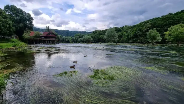 Krušnica rijeka u prirodi, zelenilo i prirodni pejzaži s Miholjske vode, biotope u Bosni.