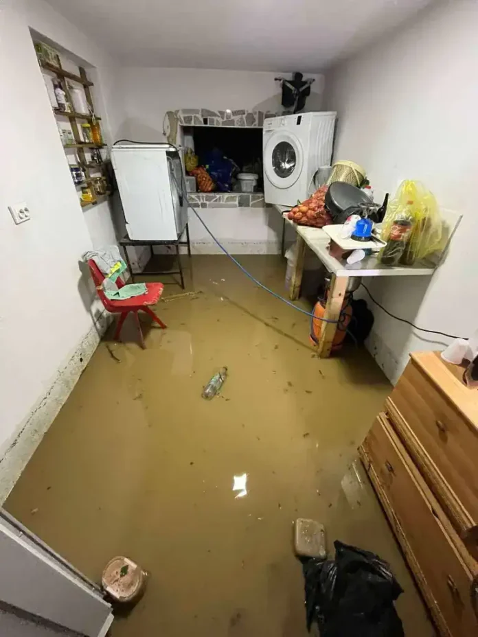 Zalijevani podrum sa natkrivenom veš mašinom i namještajem.