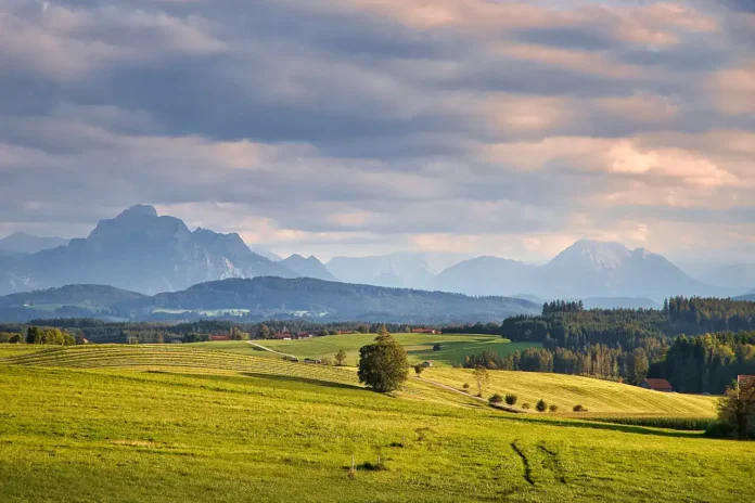 Sunčano polje u Krušnici s planinskim pejzažom u pozadini.