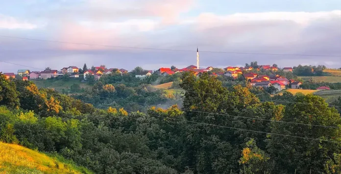 Ostružnica