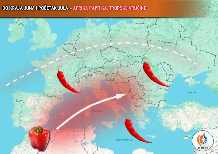 Crvena paprika, tropke svježe paprike za razne kulinarske upotrebe.