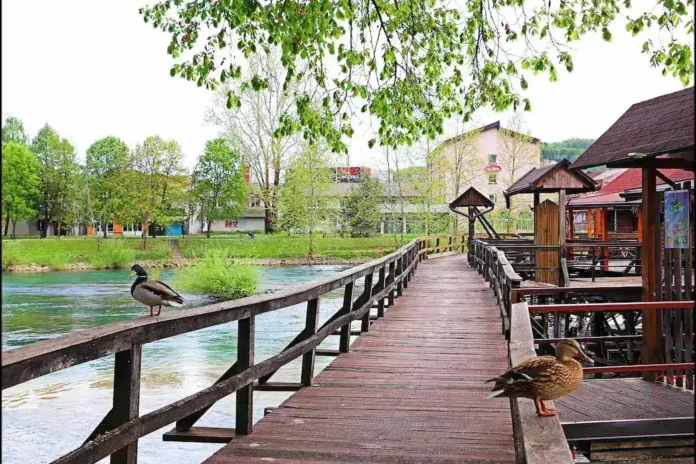 Mirisne patke na drvenoj šetnici uz rijeku u Krušnici.