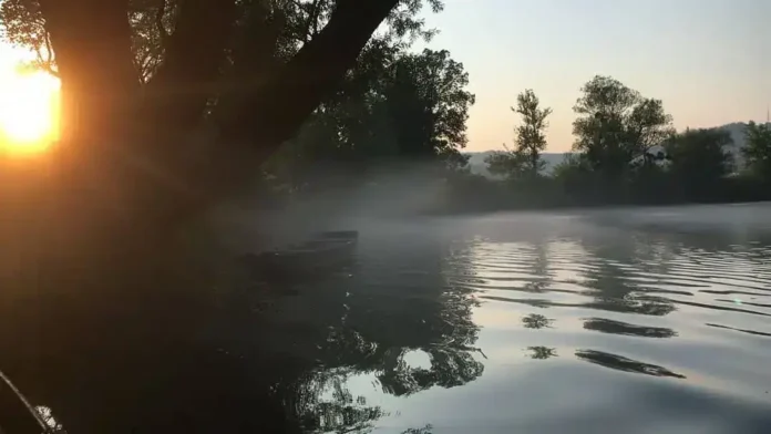 Mirna u rano jutro na rijeci Krušnica u prirodnom okruženju.
