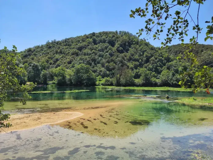 Krušnica rijeka u prirodi, zelena šuma i čista voda, slike prirodnog pejzaža za Instagram.