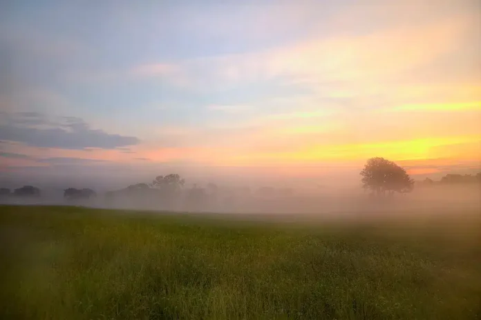 Sunset nad poljem u Krušnici, miran krajolik s maglom i zelenom travom.