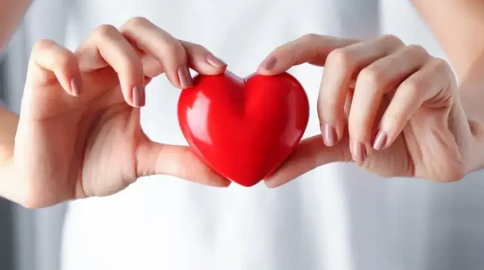 Sretni ruke drže crvenu srca ljubavi, simbol važnosti i emocija.