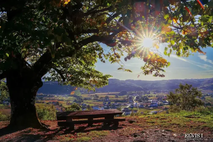 Šumsko područje kod Krušnice s pogledom na selo i prirodu, sunčeva svjetlost i park u pozadini.