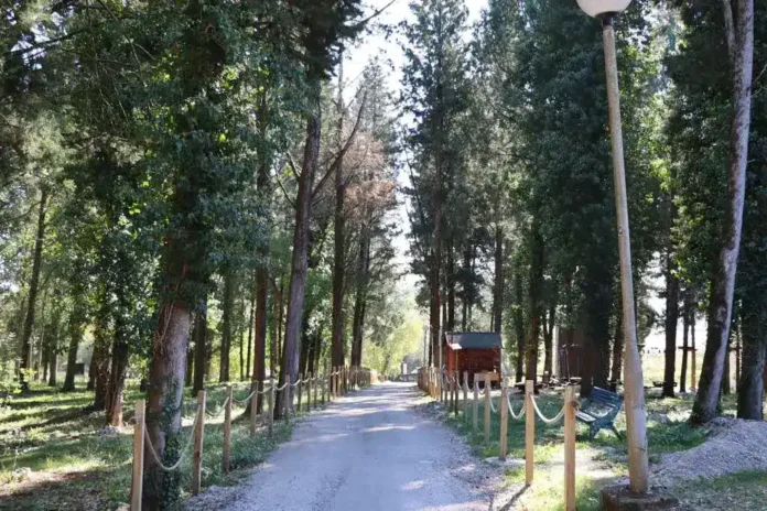 Mirna šuma u Krušnici, prirodni park, svež vazduh, rekreacija, idealno za odmor i šetnju.