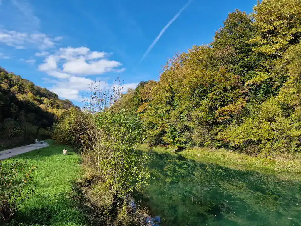 Krušnica rijeka u proljeće, priroda, zelenilo i plavo nebo, tapiserija prirodne ljepote.