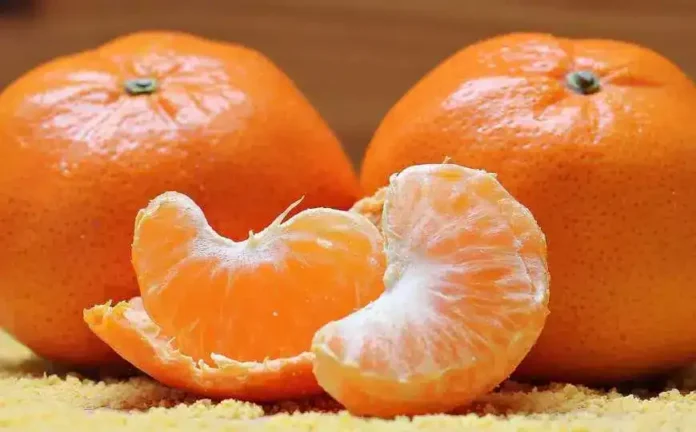 Sočni pomorandže, glavna ponuda Krušnice, kvalitet i svježina za vašu nutricionističku ravnotežu.