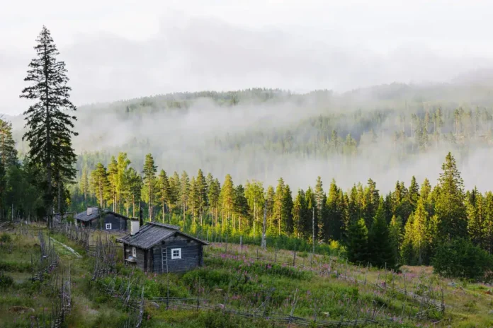 Krušnica, prirodna ljepota planinske doline i šuma.