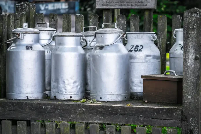 Metalne posude za mleko Krusnica, tradicionalni alat za čuvanje mlijeka, bašta, ranc, rustikalno.