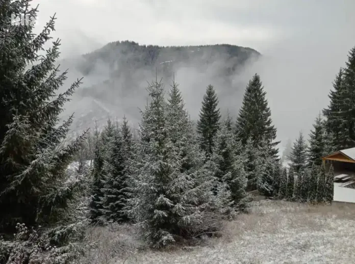 Krušnica planina sa zimskim snježnim šumama i oblacima, priroda i izolacija.