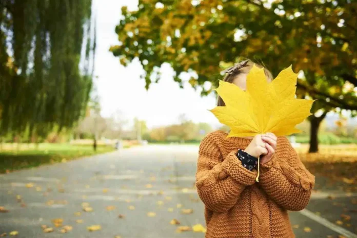 Krusnica jesen lišće park fotografija.