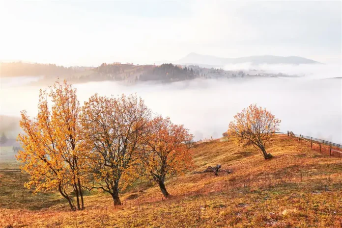 Krušnica prirodna ljepota jesenjih boja, planinska scena sa šumama i maglom.