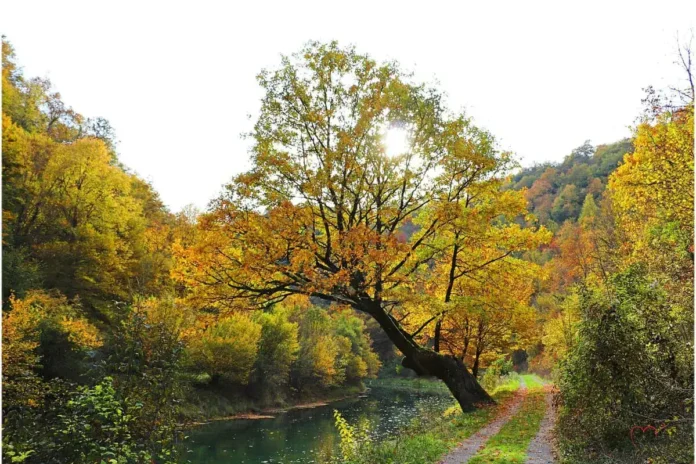 Jutro u Bosanskoj Krupi 5.12.2025.