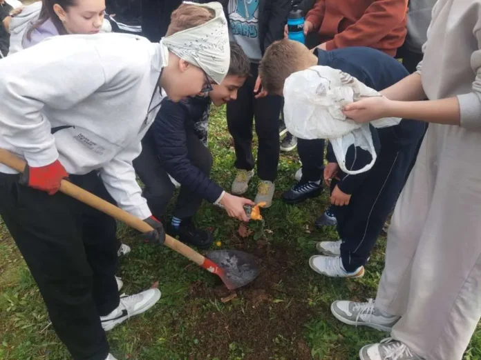 Djeca sade drveće u prirodi tokom edukativne aktivnosti.