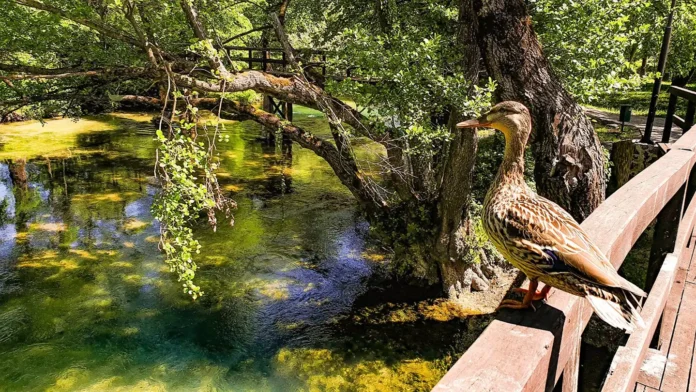 U Bosanskoj Krupi jutro donosi oblačno nebo, umjeren vjetar i svježe temperature koje se kreću oko 13 stepeni.