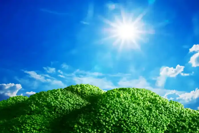 Prelijepa prirodna scena Krušnice pod sunčevim zrakama.