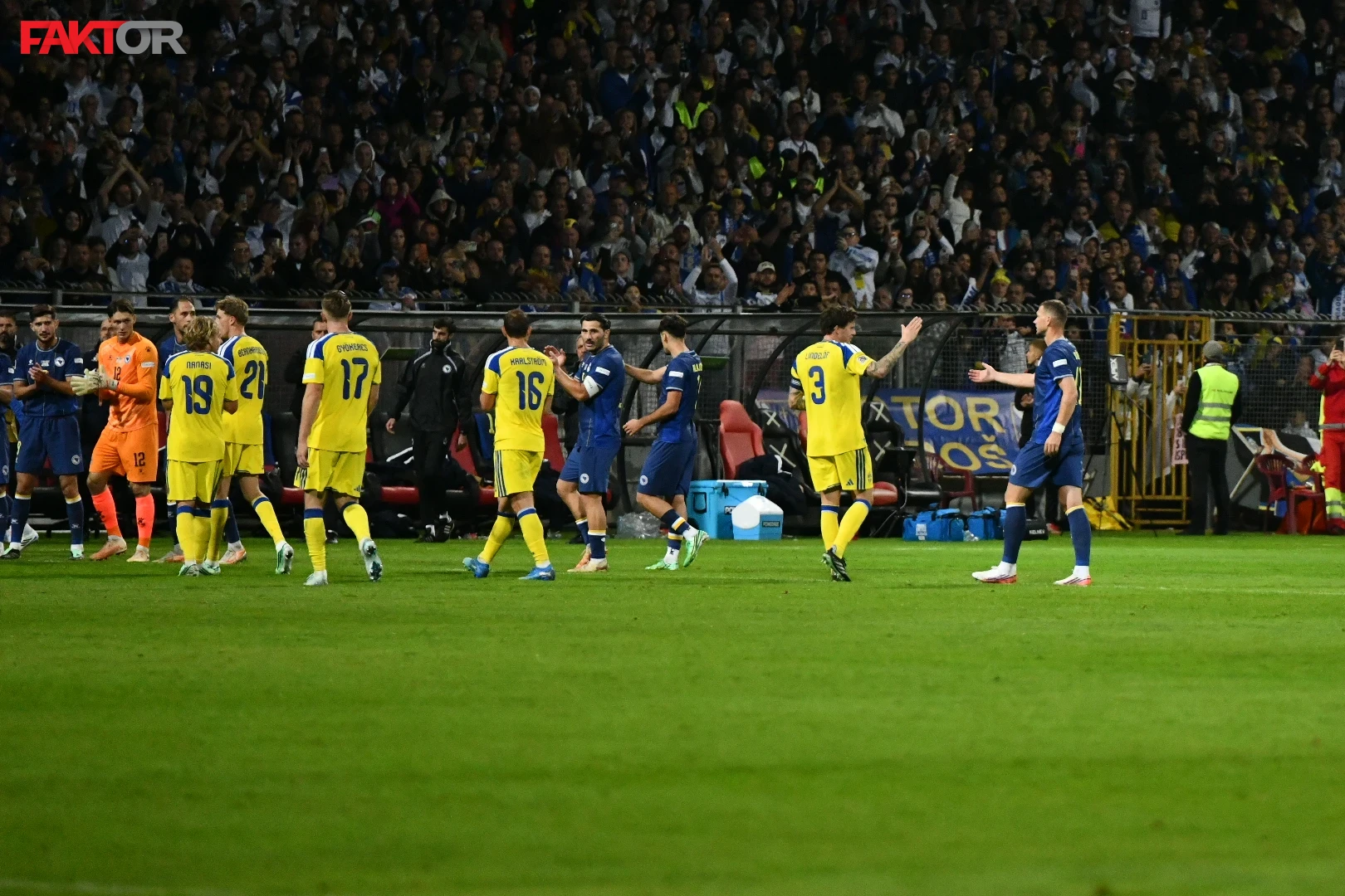 Edin Džeko završio reprezentativnu karijeru u remiju Švedske i BiH na Bilinom polju Fudbalska utakmica BiH i Švedska na Bilinom polju.