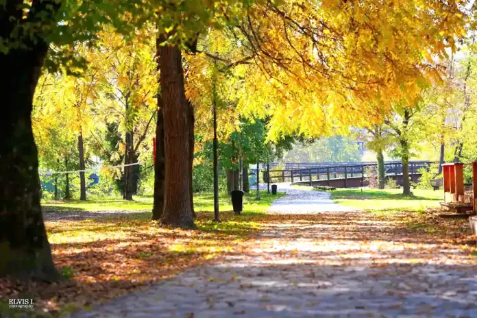 Temperatura u Bosanskoj Krupi danas dostiže 14°C uz pretežno oblačne uvjete i slab vjetar. Očekuju se sunčane stanke.